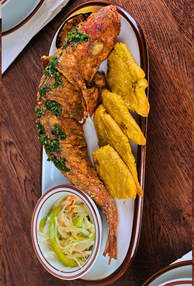 LaCachetteDuCoin Fish